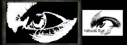 Illustration, DVD and CD covers and labels, typography, hand drawn and digitally drawn design, different mediums such as oil pastels, Adobe Flash, Adobe Photoshop, stenciling, reductive drawing, spray painting, block printing and collages. By Simranjit Singh Deol