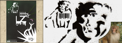 Illustration, DVD and CD covers and labels, typography, hand drawn and digitally drawn design, different mediums such as oil pastels, Adobe Flash, Adobe Photoshop, stenciling, reductive drawing, spray painting, block printing and collages. By Simranjit Singh Deol